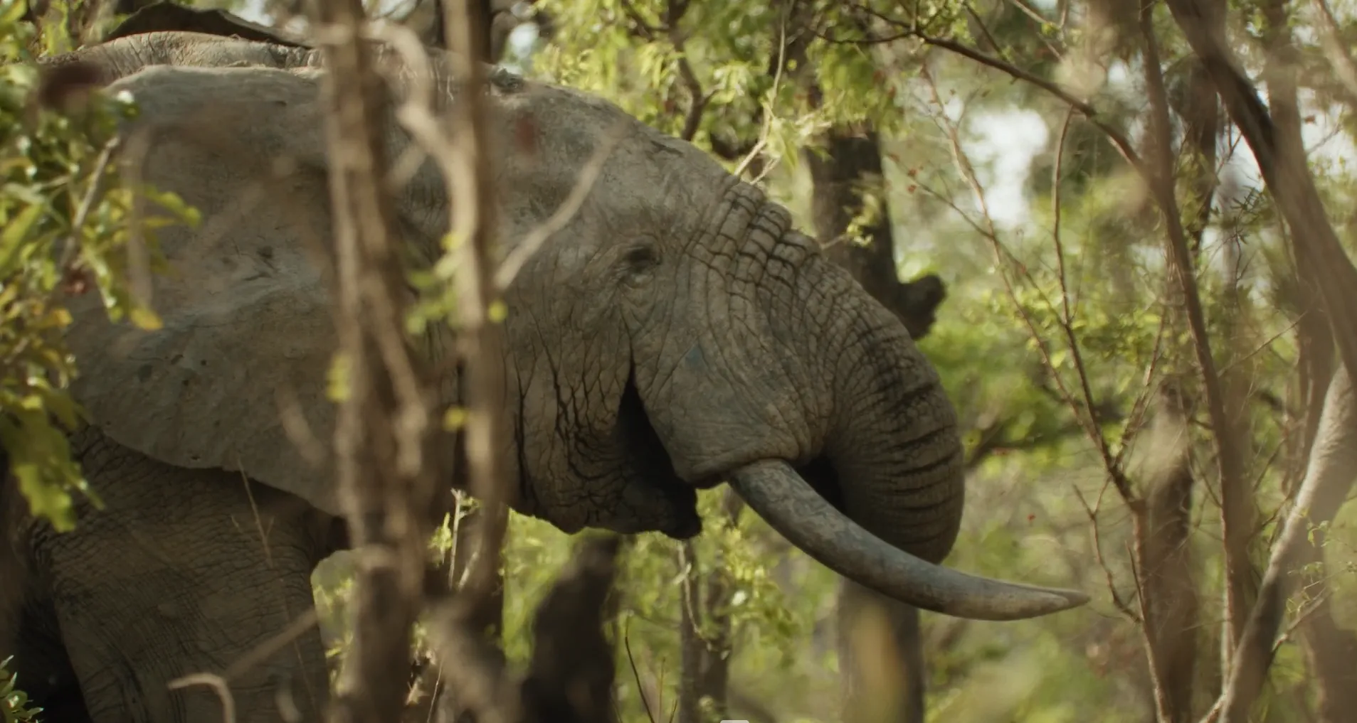 Screenshot 2025-05-13 221534