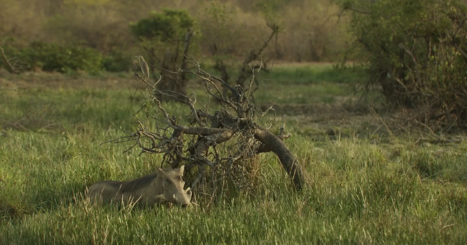 Screenshot 2025-05-13 222015