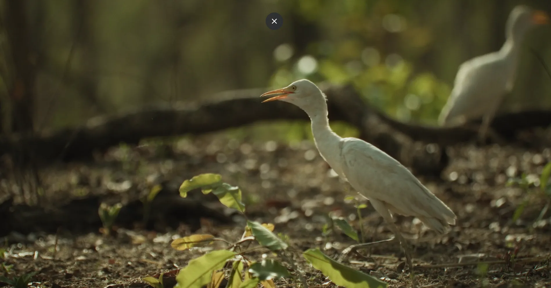 Screenshot 2025-05-13 222045