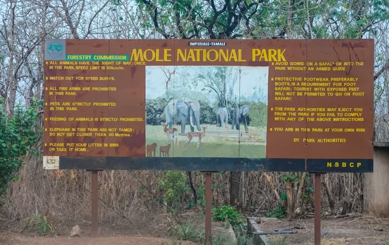 Screenshot 2025-05-19 061338